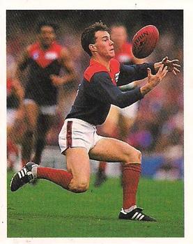1993 Select AFL Stickers #162 Chris Sullivan Front